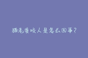 猫老爱咬人是怎么回事?