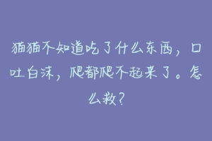 猫猫不知道吃了什么东西,口吐白沫,爬都爬不起来了。怎么救?
