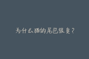 为什么猫的尾巴很臭?