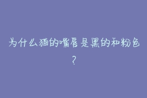 为什么猫的嘴唇是黑的和粉色?