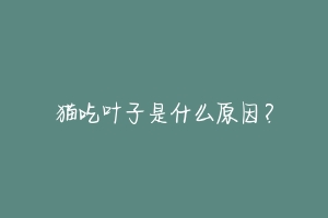 猫吃叶子是什么原因？