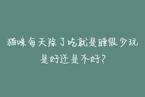 猫咪每天除了吃就是睡很少玩是好还是不好?