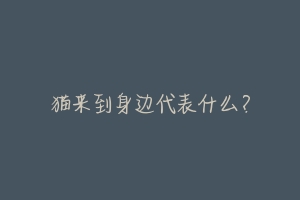 猫来到身边代表什么?