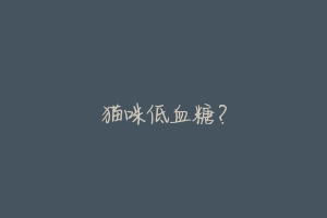 猫咪低血糖?