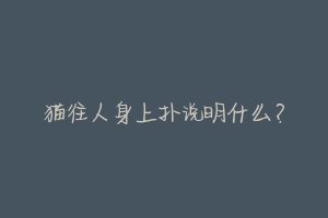 猫往人身上扑说明什么?