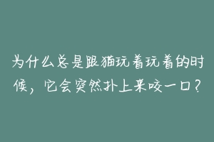 为什么总是跟猫玩着玩着的时候,它会突然扑上来咬一口?