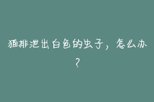 猫排泄出白色的虫子,怎么办?