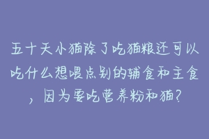 五十天小猫除了吃猫粮还可以吃什么想喂点别的辅食和主食,因为要吃营养粉和猫?
