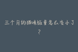 三个月的猫咪饭量怎么变小了?