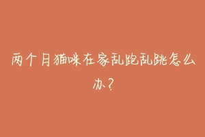 两个月猫咪在家乱跑乱跳怎么办?