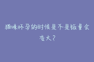 猫咪怀孕的时候是不是饭量会变大?