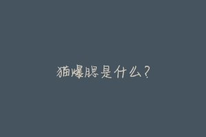 猫爆腮是什么?
