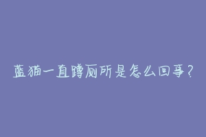 蓝猫一直蹲厕所是怎么回事?