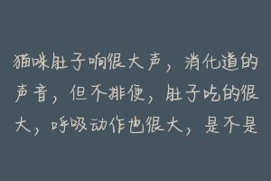 猫咪肚子响很大声,消化道的声音,但不排便,肚子吃的很大,呼吸动作也很大,是不是得了什么病?