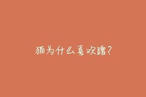 猫为什么喜欢蹭?