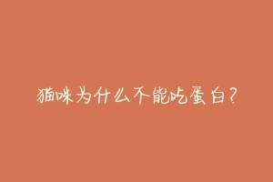 猫咪为什么不能吃蛋白?
