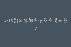 小猫到新家的应激反应有哪些?