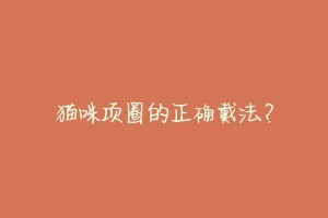 猫咪项圈的正确戴法?