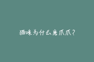 猫咪为什么磨爪爪?