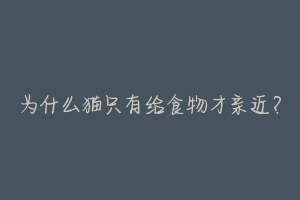 为什么猫只有给食物才亲近?