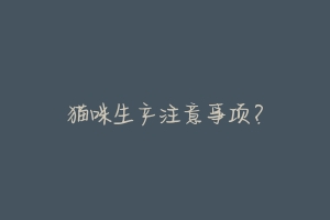 猫咪生产注意事项?