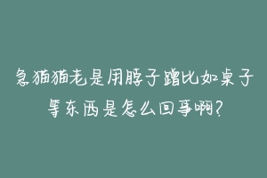 急猫猫老是用脖子蹭比如桌子等东西是怎么回事啊?