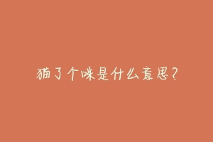 猫了个咪是什么意思?