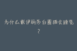 为什么戴伊丽莎白圈猫会睡觉?