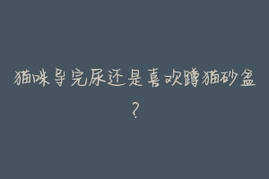 猫咪导完尿还是喜欢蹲猫砂盆?