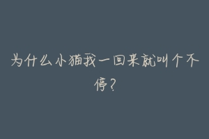 为什么小猫我一回来就叫个不停?