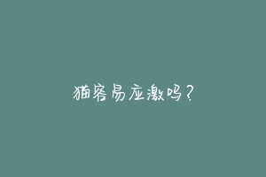 猫容易应激吗?