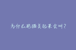 为什么把猫关起来会叫?