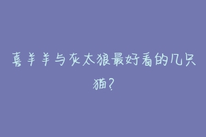 喜羊羊与灰太狼最好看的几只猫?