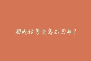 猫吃绿萝是怎么回事?
