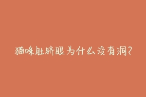 猫咪肚脐眼为什么没有洞?