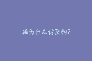 猫为什么讨厌狗?