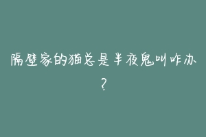 隔壁家的猫总是半夜鬼叫咋办?
