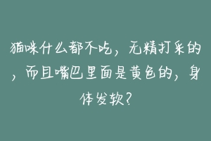 猫咪什么都不吃,无精打采的,而且嘴巴里面是黄色的,身体发软?