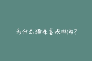 为什么猫咪喜欢淋雨?
