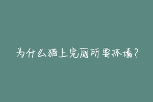 为什么猫上完厕所要抓墙?