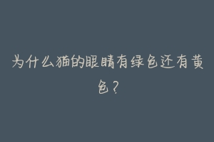 为什么猫的眼睛有绿色还有黄色?