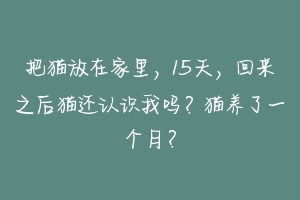 把猫放在家里,15天,回来之后猫还认识我吗?猫养了一个月?