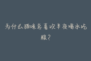 为什么猫咪总喜欢半夜喝水吃粮?