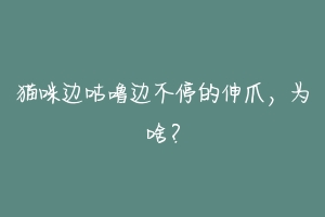猫咪边咕噜边不停的伸爪,为啥?