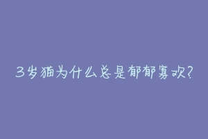 3岁猫为什么总是郁郁寡欢?