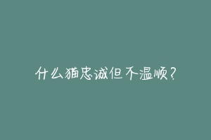 什么猫忠诚但不温顺?