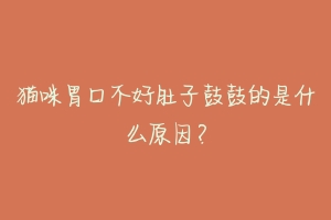 猫咪胃口不好肚子鼓鼓的是什么原因?