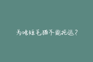 为啥短毛猫不能托运?
