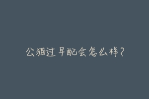 公猫过早配会怎么样?