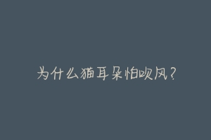 为什么猫耳朵怕吹风?